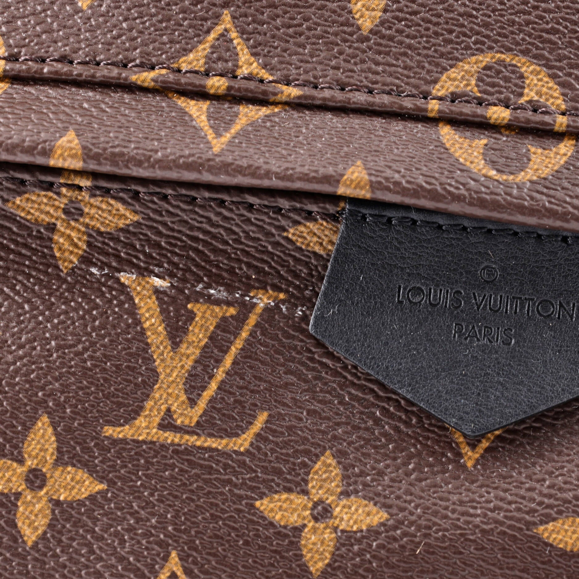 Louis Vuitton Palm Springs Backpack Monogram Canvas MM
