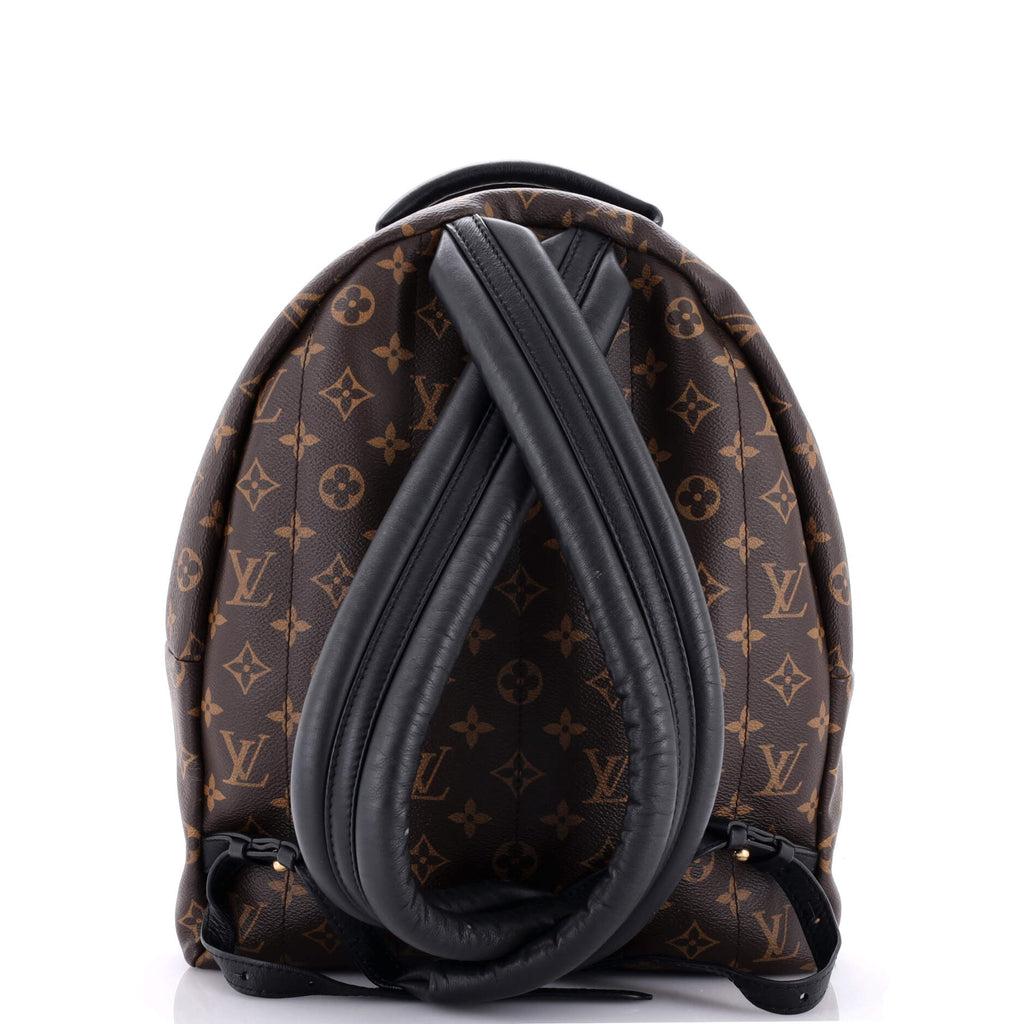 Louis Vuitton Palm Springs Backpack Monogram Canvas MM