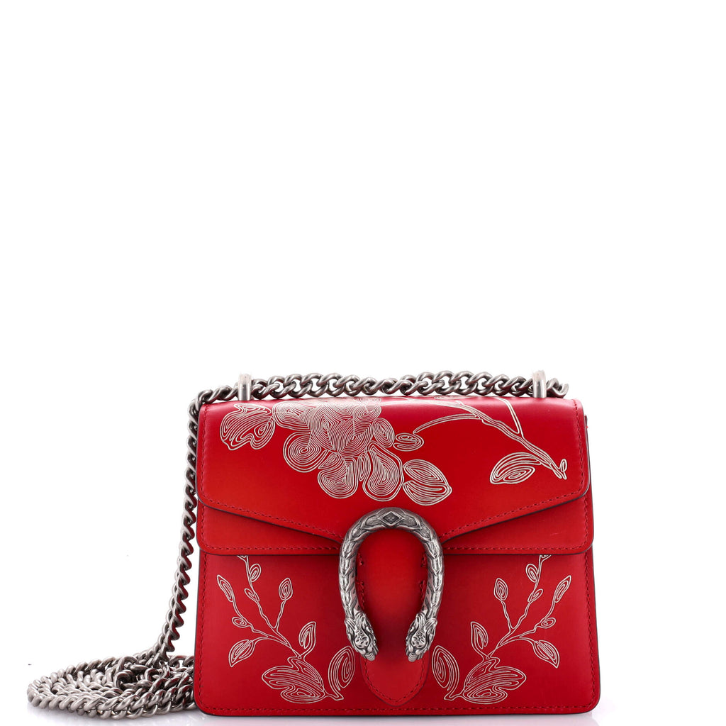 Dionysus Bag Limited Edition Painted Leather Mini