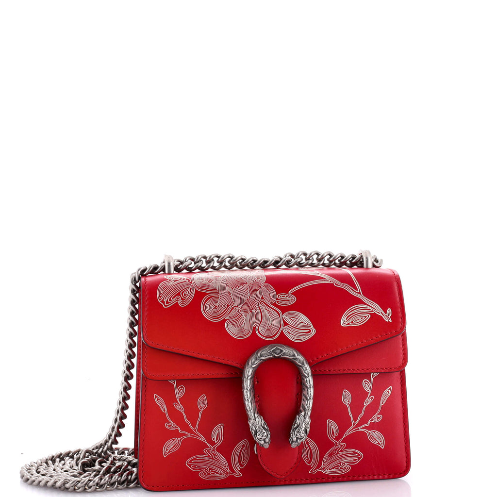 Dionysus Bag Limited Edition Painted Leather Mini