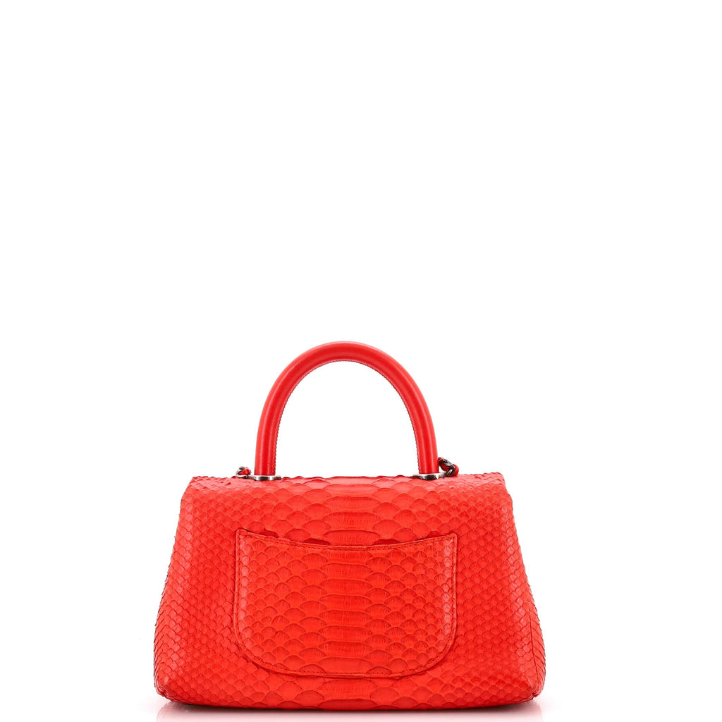 Coco Top Handle Bag Python Mini