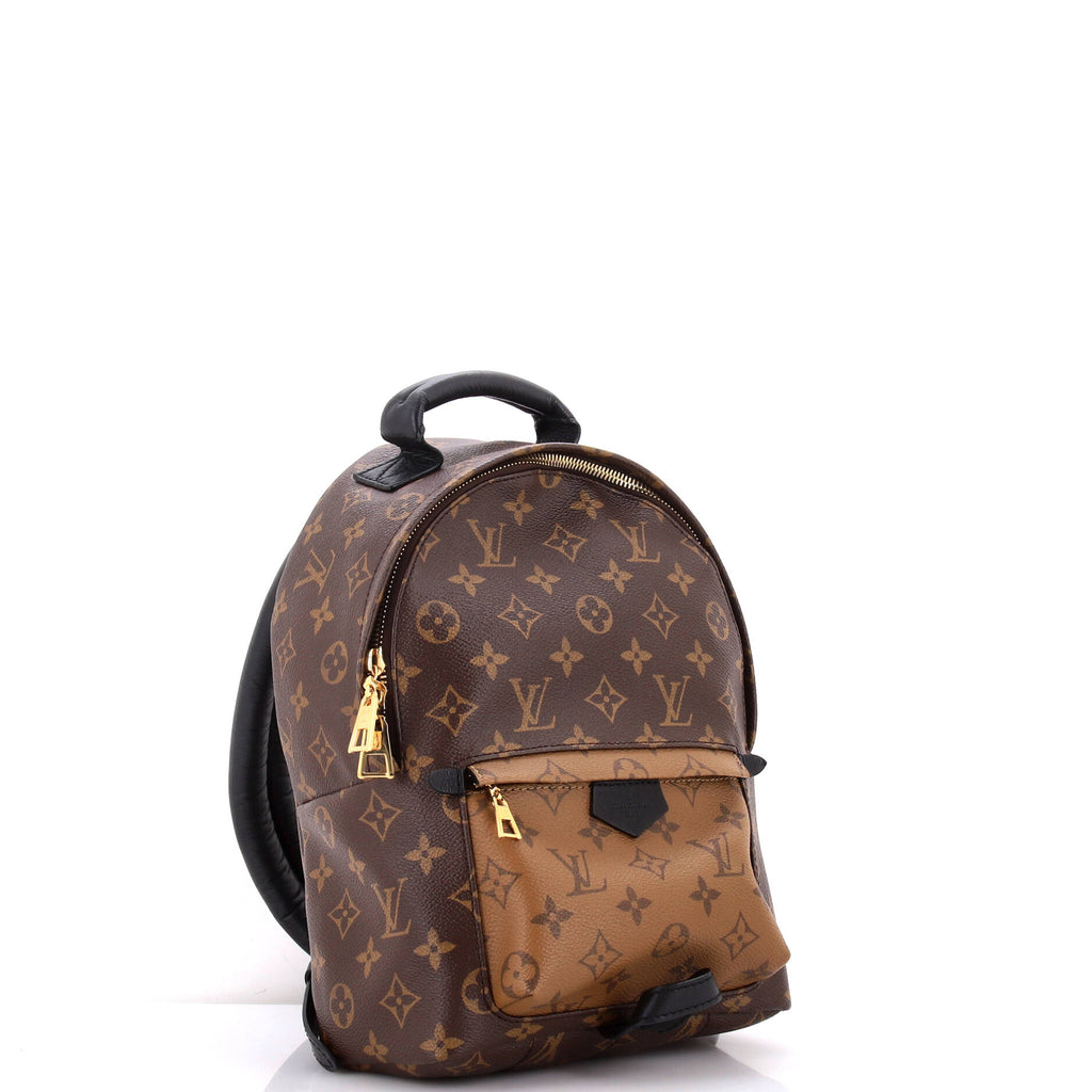 Louis Vuitton Palm Springs Backpack Reverse Monogram Canvas PM