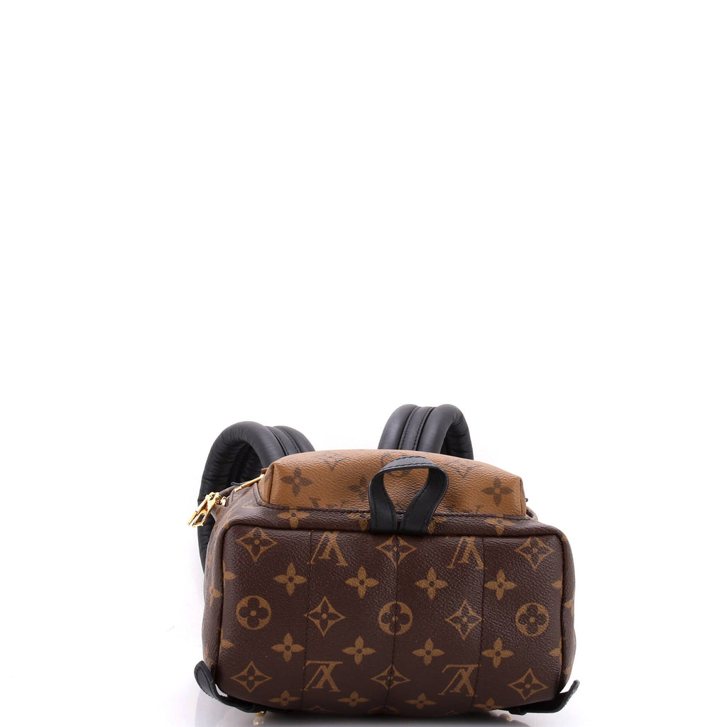 Louis Vuitton Palm Springs Backpack Reverse Monogram Canvas PM