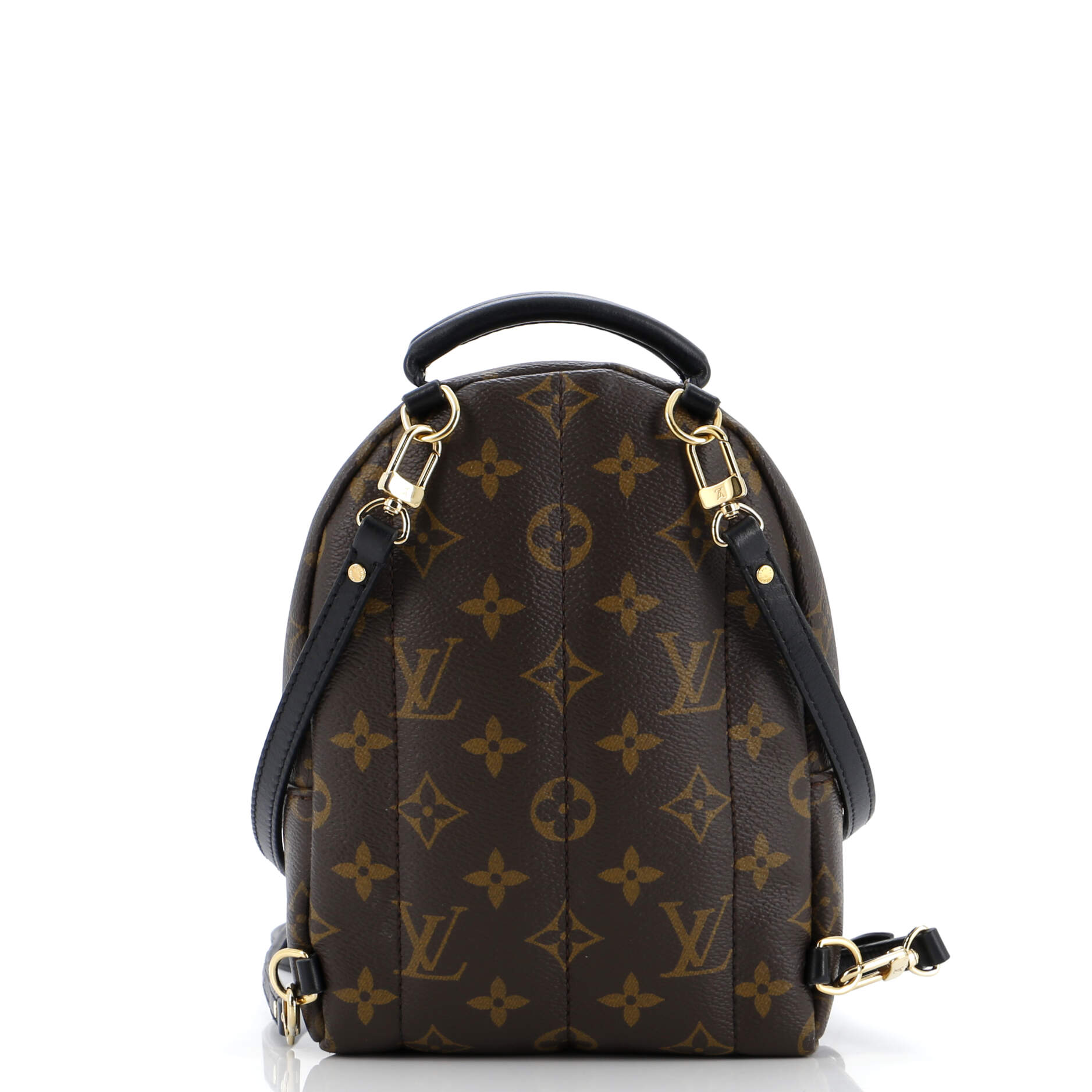 Louis Vuitton Palm Springs Backpack Monogram Canvas Mini
