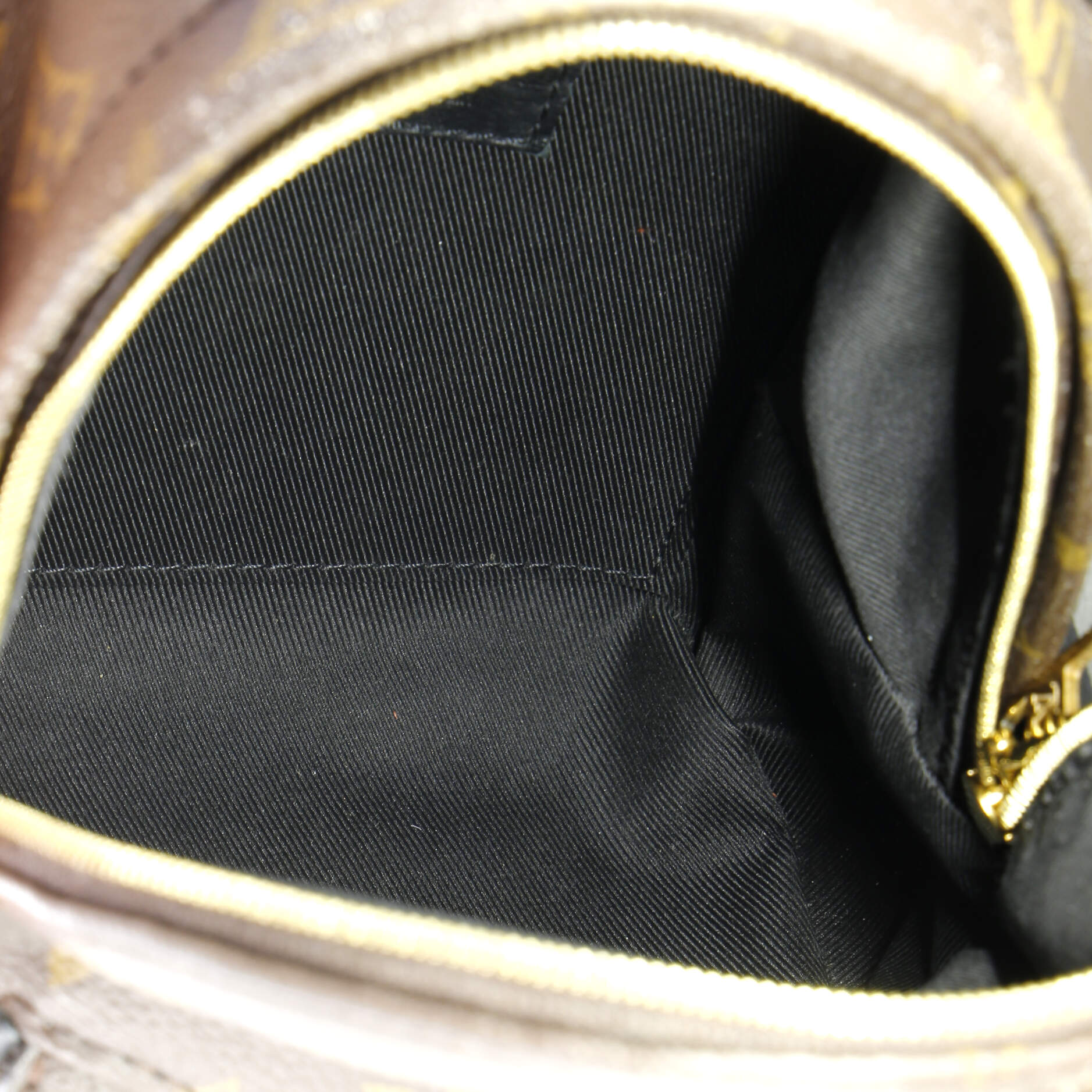 Louis Vuitton Palm Springs Backpack Monogram Canvas Mini