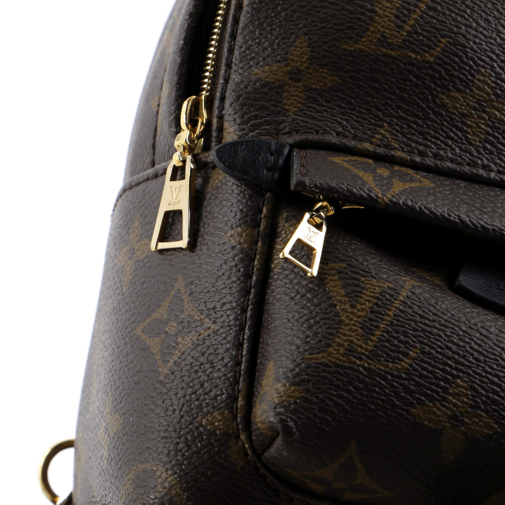 Louis Vuitton Palm Springs Backpack Monogram Canvas Mini