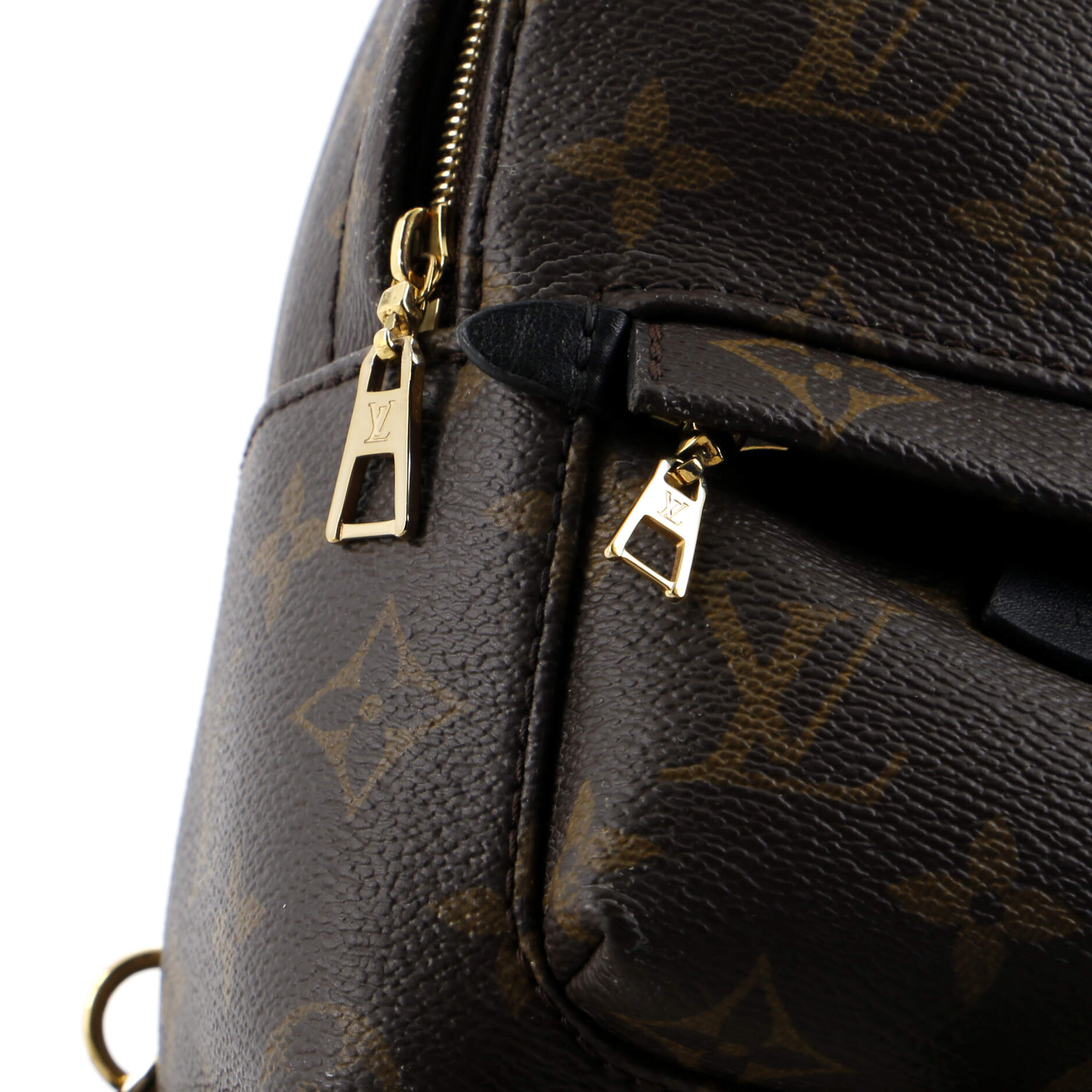 Louis Vuitton Palm Springs Backpack Monogram Canvas Mini