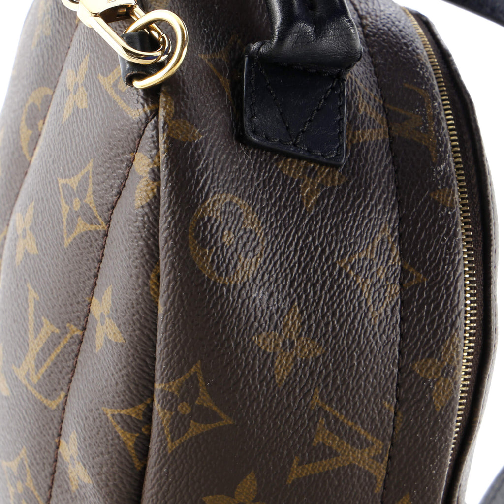 Louis Vuitton Palm Springs Backpack Monogram Canvas Mini
