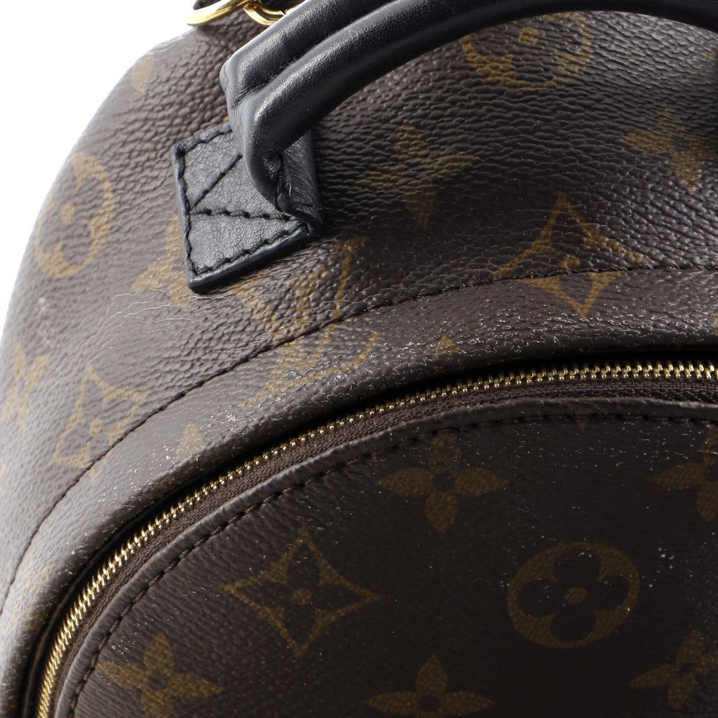 Louis Vuitton Palm Springs Backpack Monogram Canvas Mini