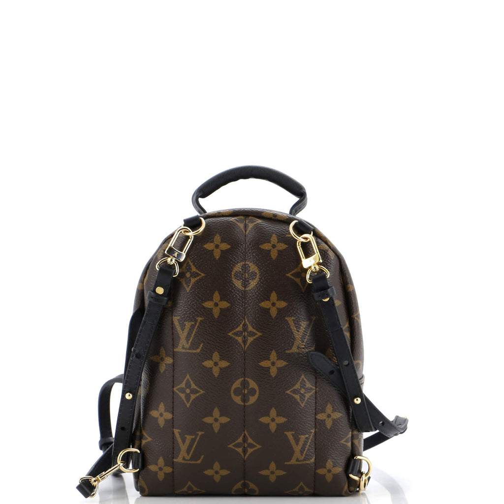 Louis Vuitton Palm Springs Backpack Monogram Canvas Mini