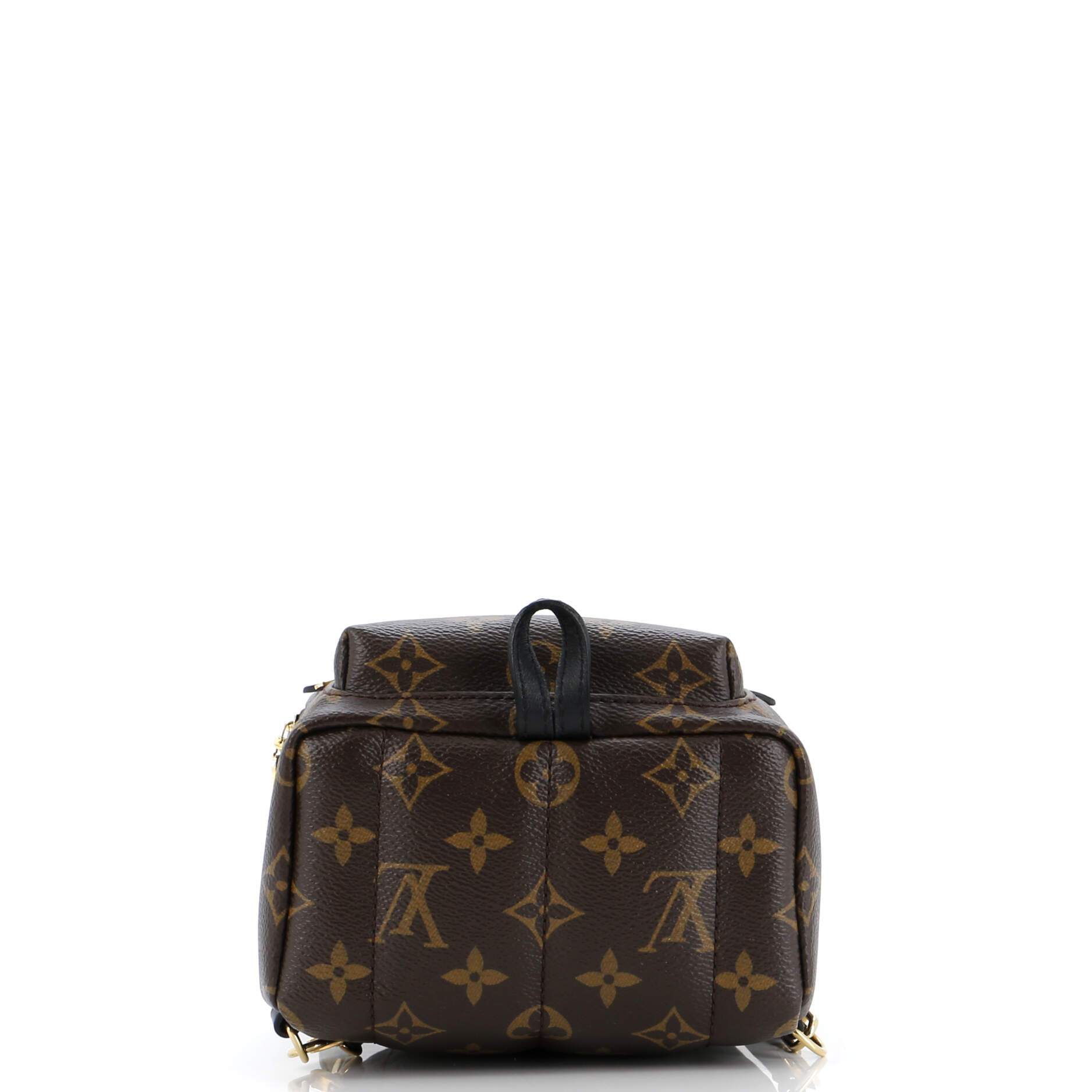 Louis Vuitton Palm Springs Backpack Monogram Canvas Mini