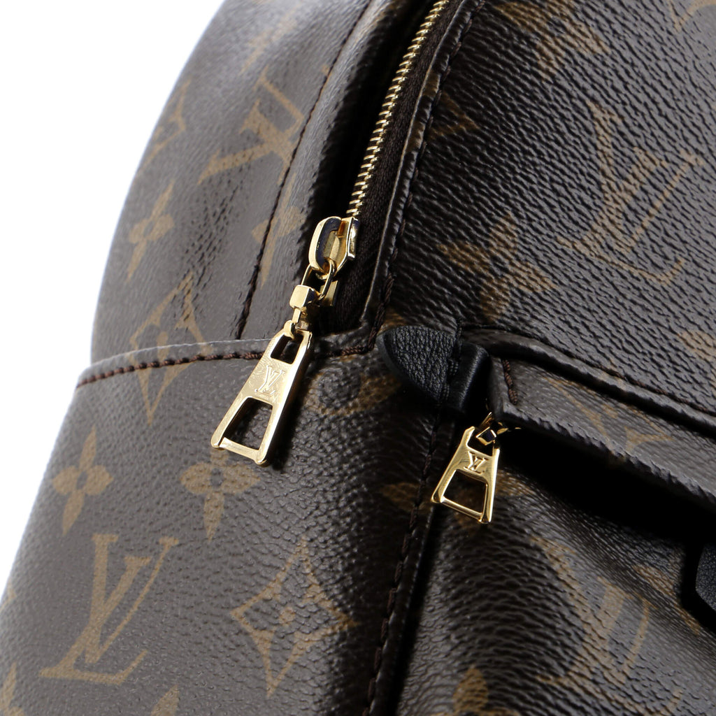 Louis Vuitton Palm Springs Backpack Monogram Canvas Mini