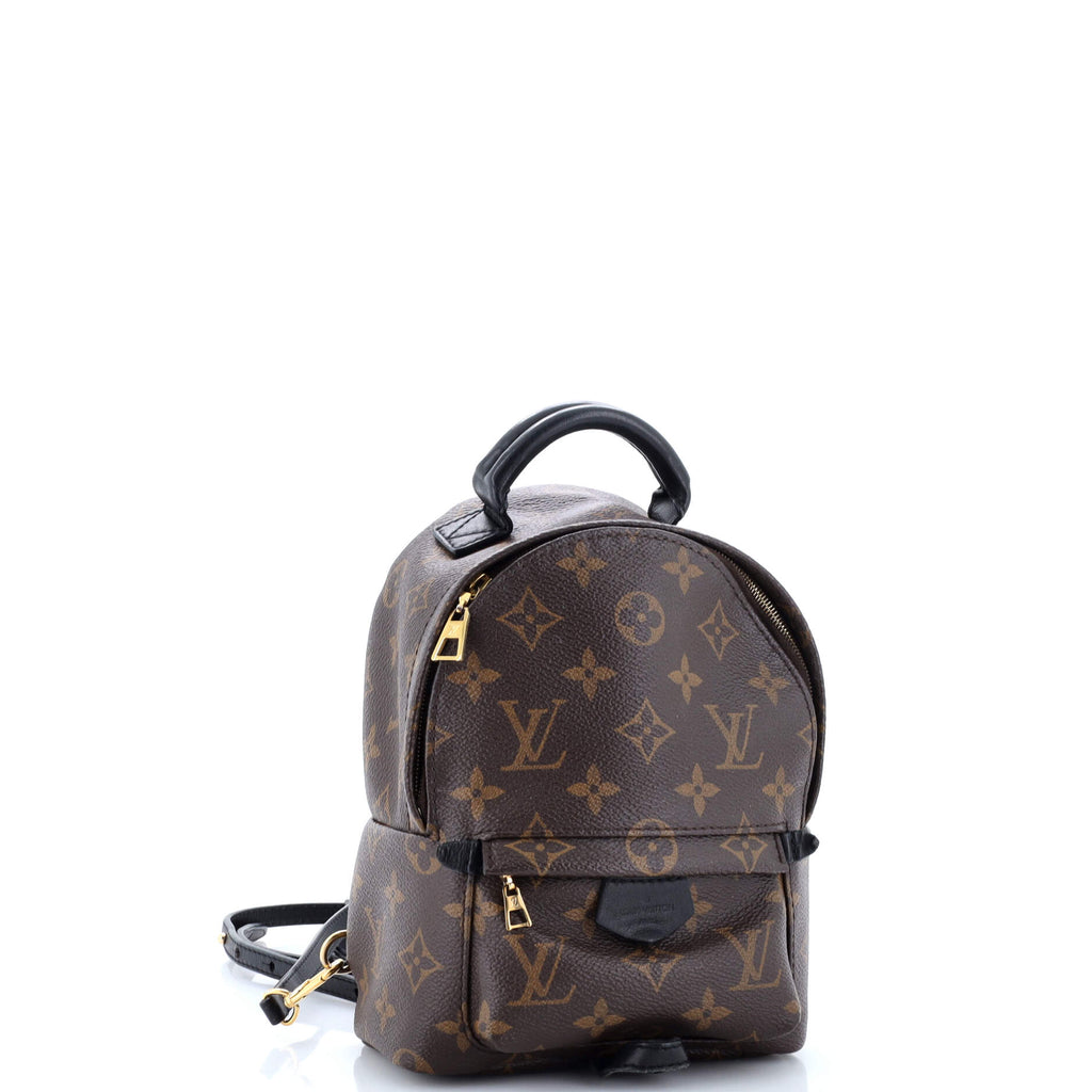 Louis Vuitton Palm Springs Backpack Monogram Canvas Mini