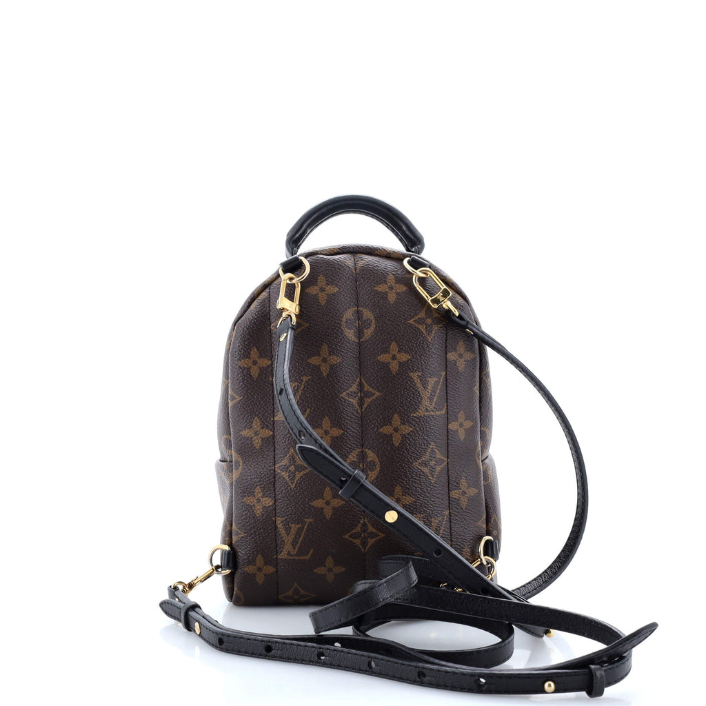Louis Vuitton Palm Springs Backpack Monogram Canvas Mini