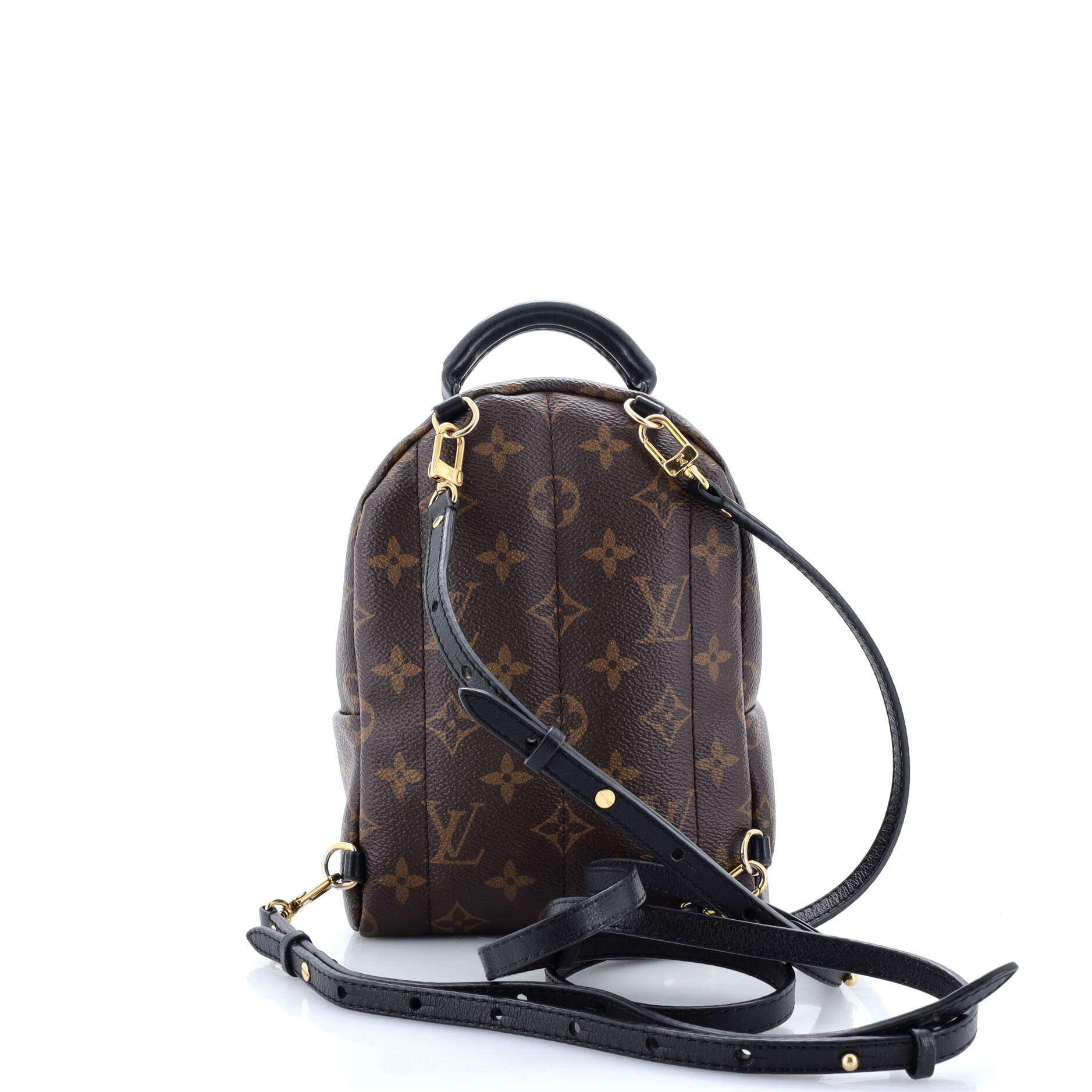 Louis Vuitton Palm Springs Backpack Monogram Canvas Mini
