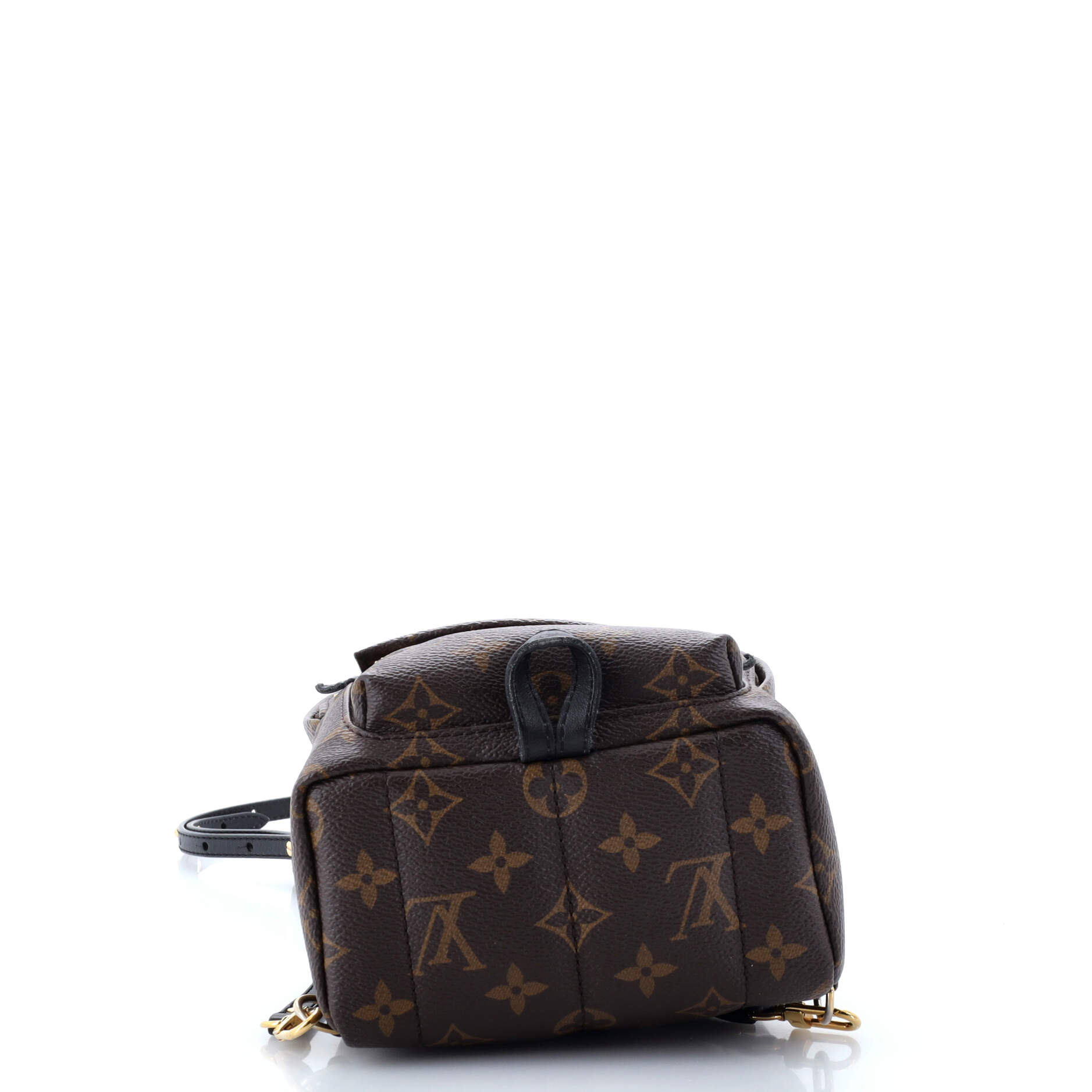 Louis Vuitton Palm Springs Backpack Monogram Canvas Mini