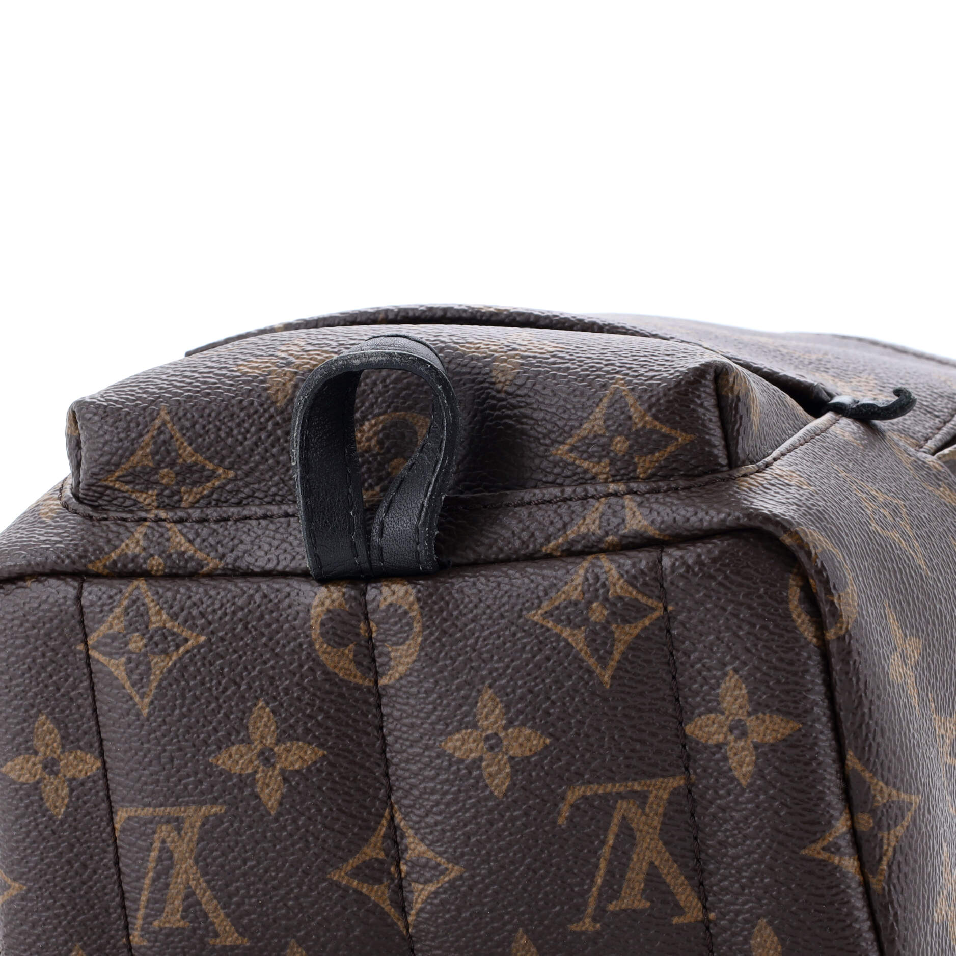 Louis Vuitton Palm Springs Backpack Monogram Canvas Mini