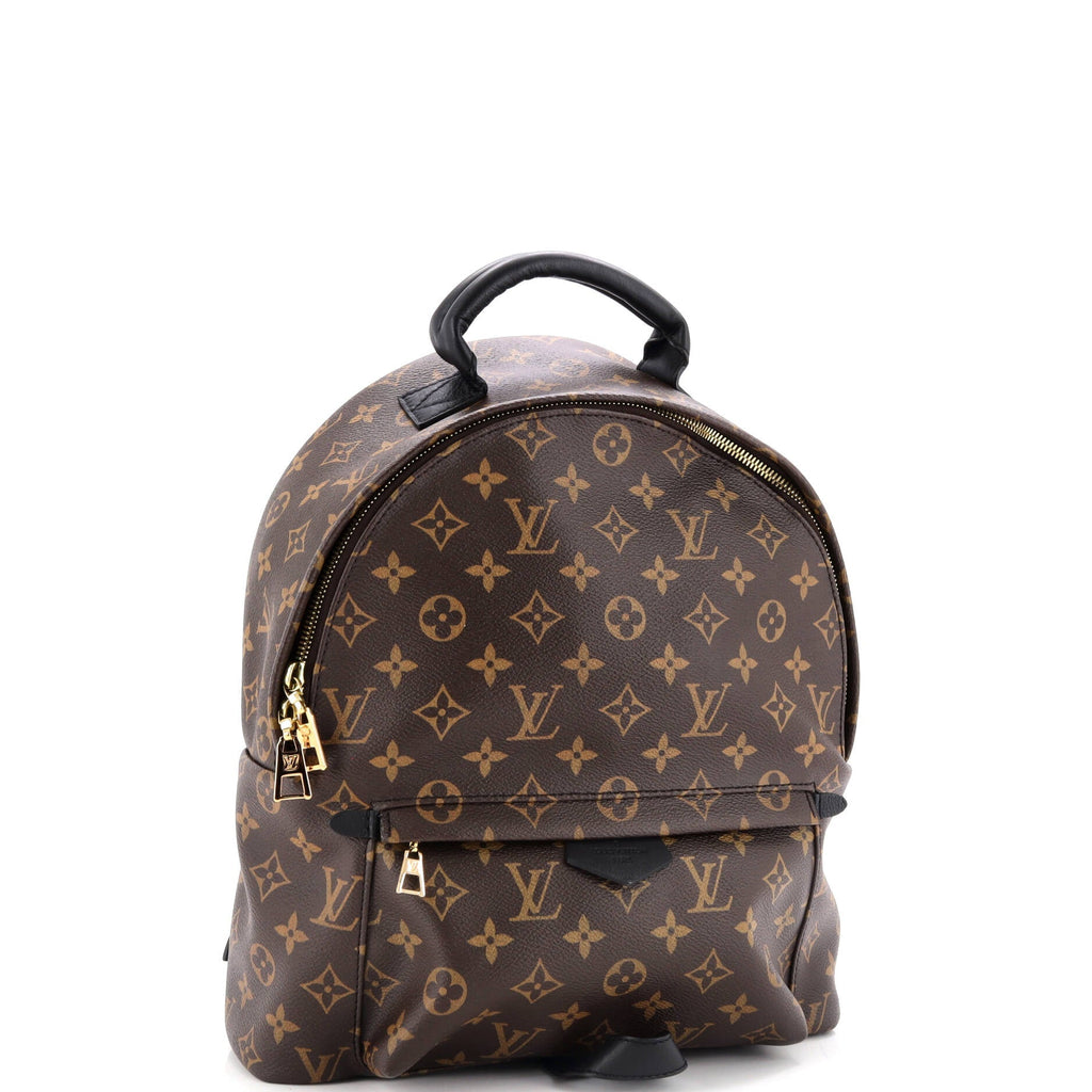 Louis Vuitton Palm Springs Backpack Monogram Canvas MM