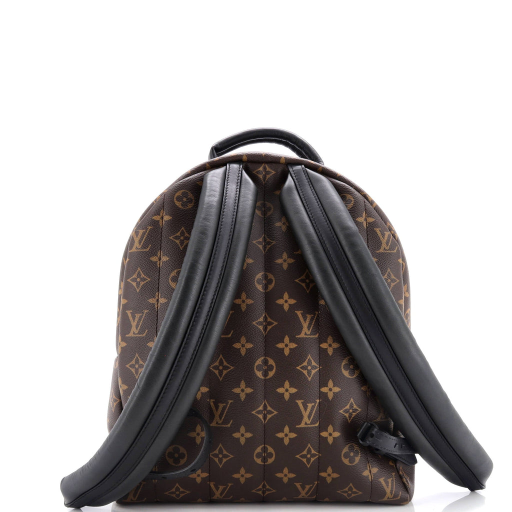 Louis Vuitton Palm Springs Backpack Monogram Canvas MM