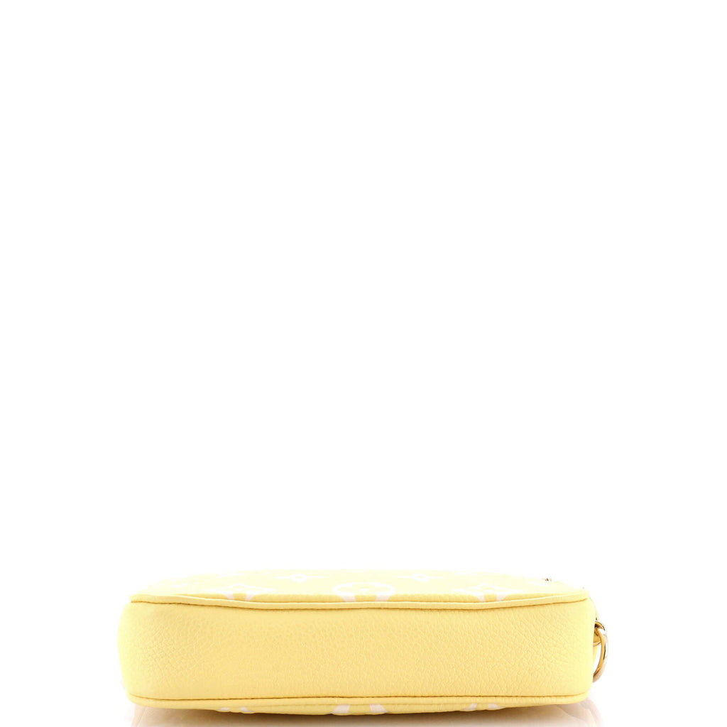 Pochette Accessoires Spring in the City Monogram Empreinte Leather Mini