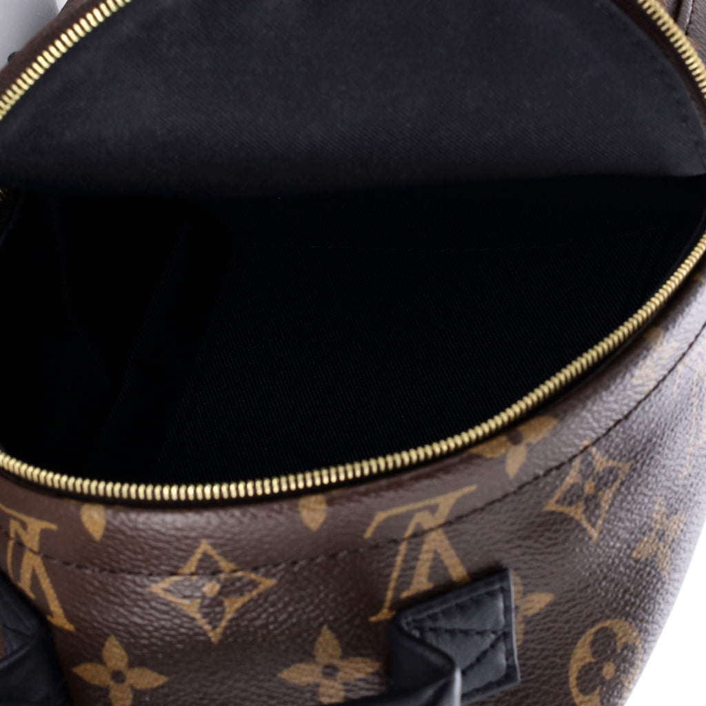 Louis Vuitton Palm Springs Backpack Monogram Canvas Mini