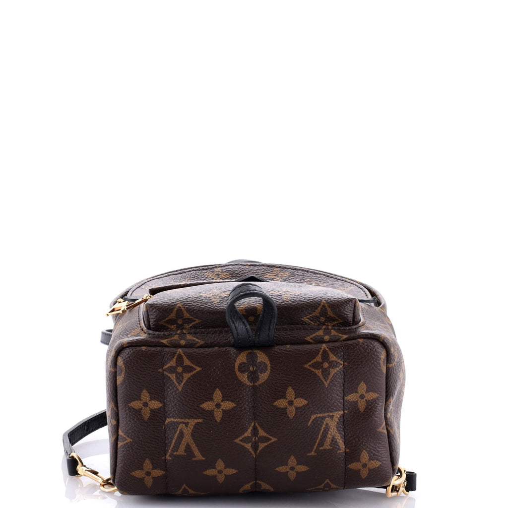 Palm Springs Backpack Monogram Canvas Mini