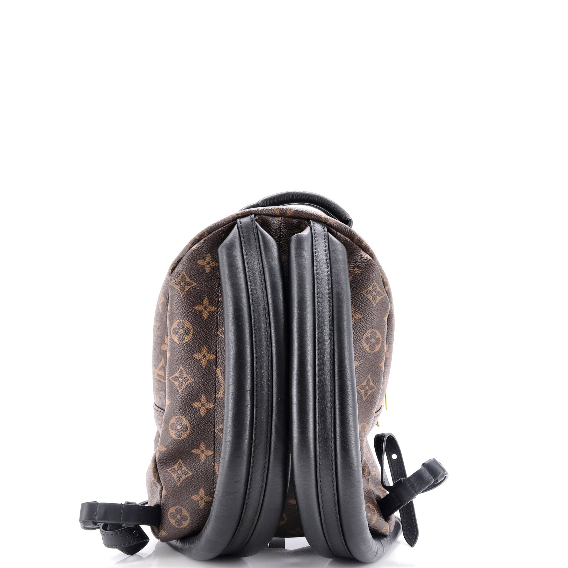 Louis Vuitton Palm Springs Backpack Reverse Monogram Canvas PM
