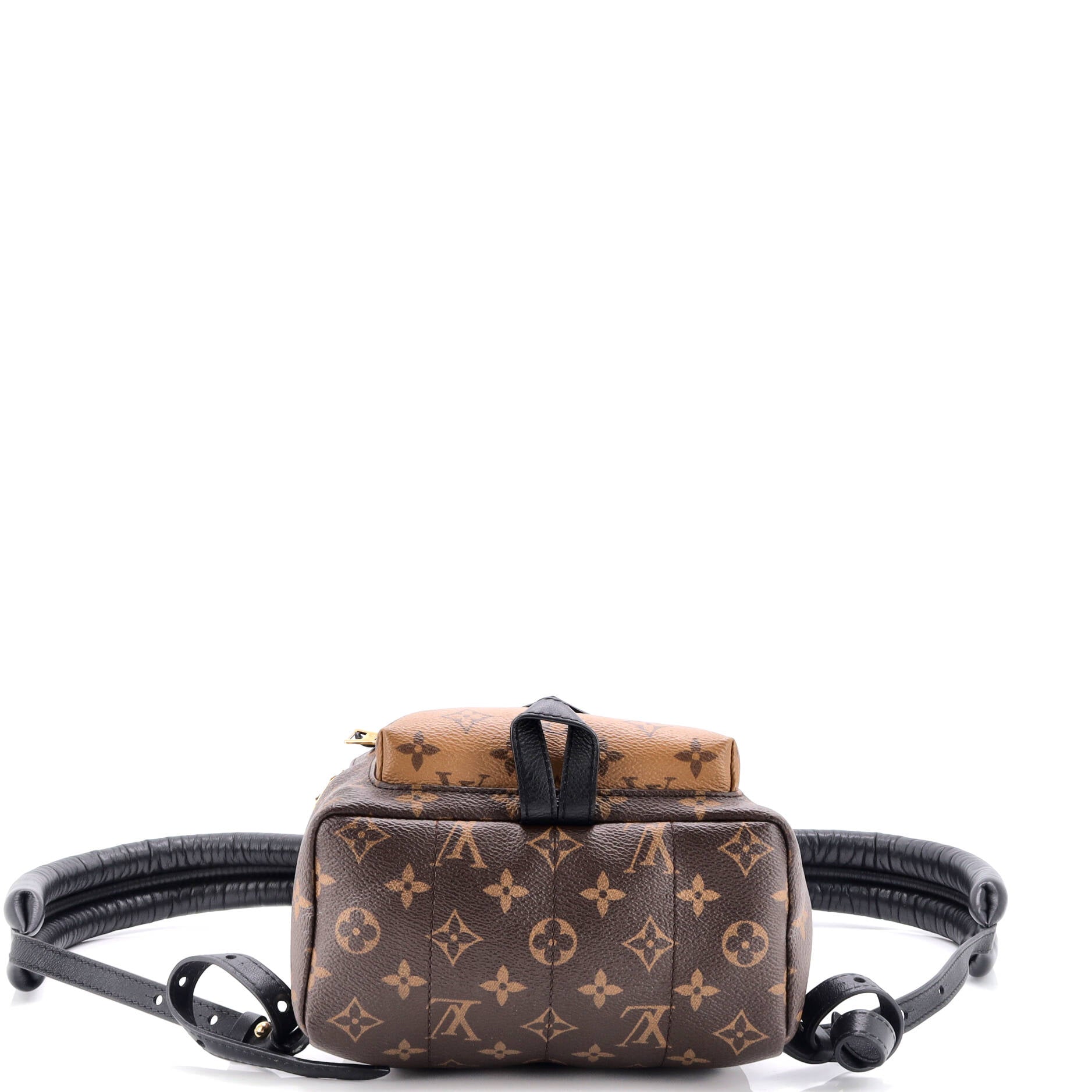 Louis Vuitton Palm Springs Backpack Reverse Monogram Canvas PM