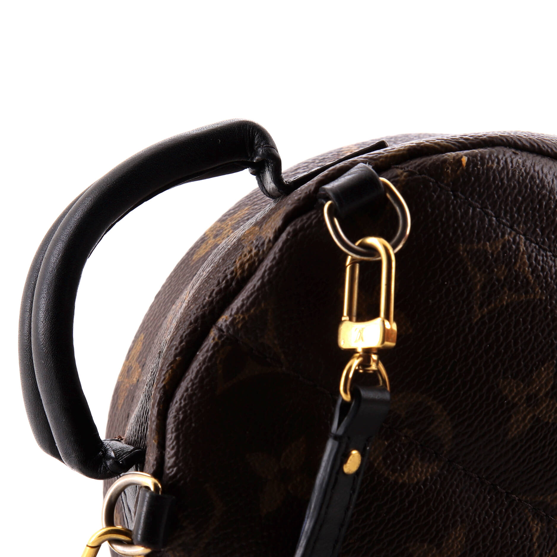 Louis Vuitton Palm Springs Backpack Monogram Canvas Mini