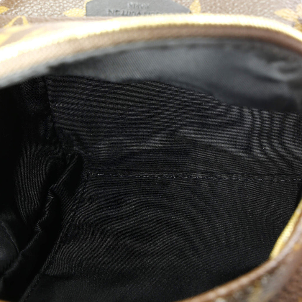 Louis Vuitton Palm Springs Backpack Monogram Canvas Mini