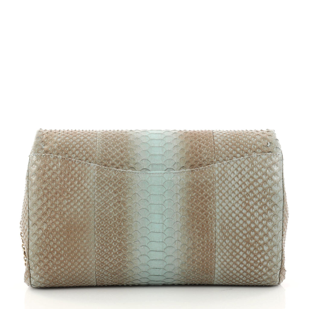 Clutch with Chain Python