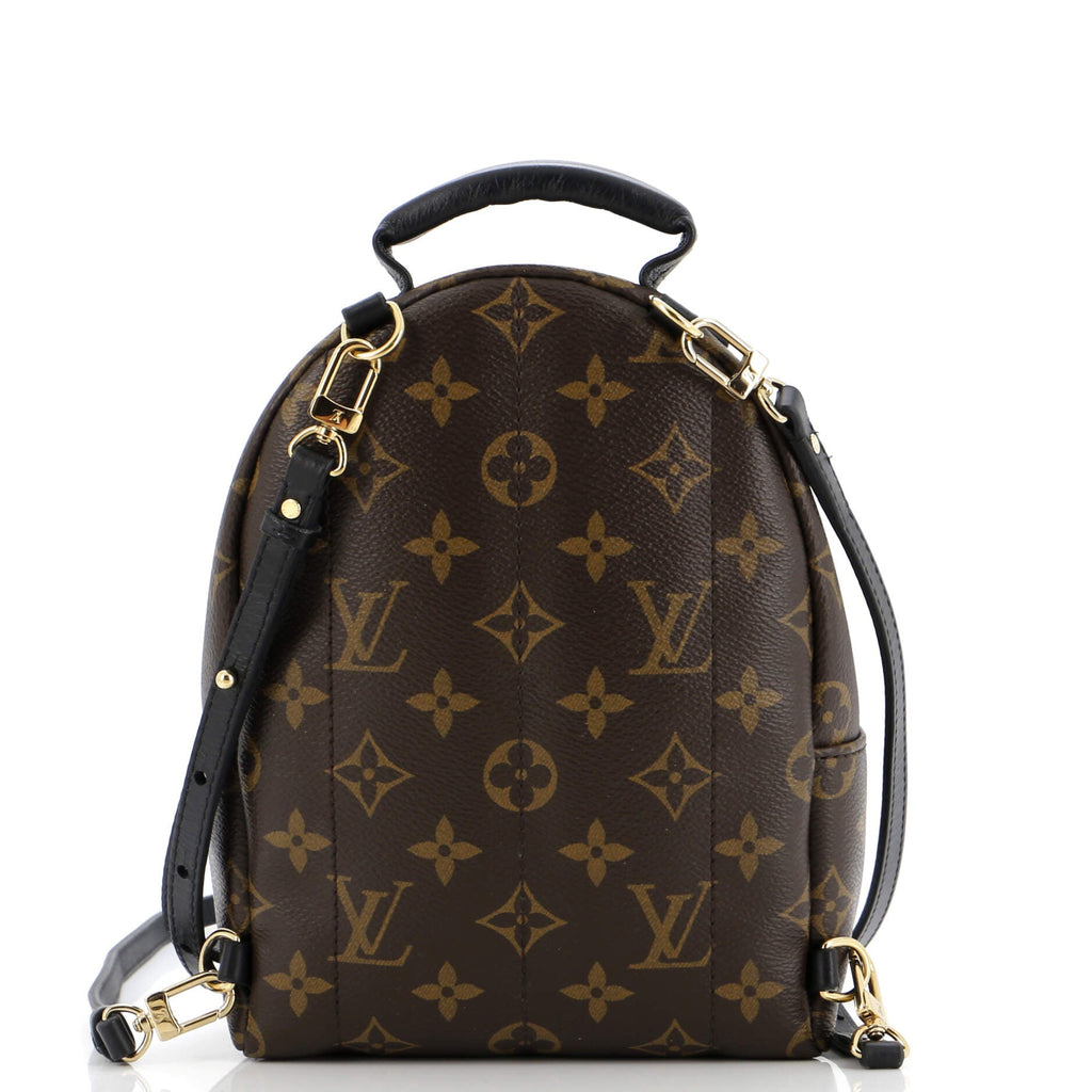 Louis Vuitton Palm Springs Backpack Monogram Canvas Mini