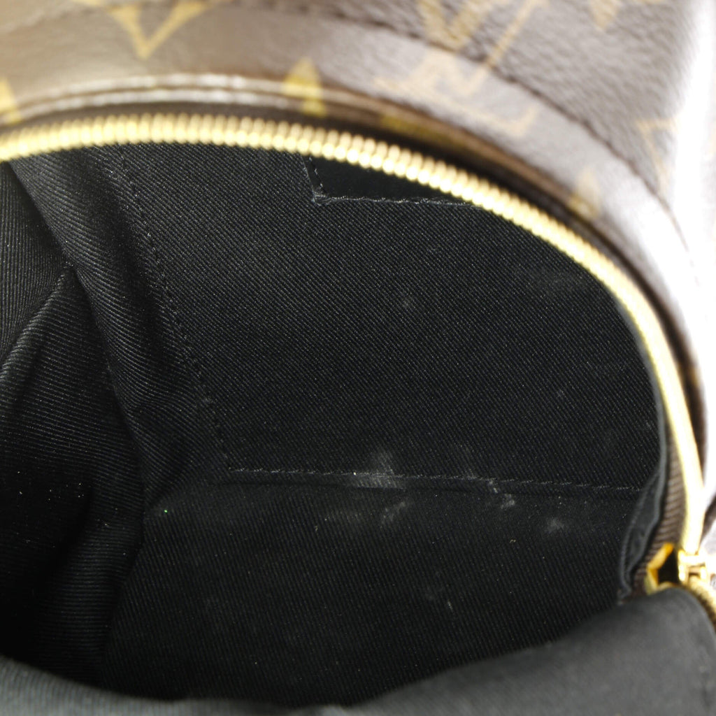 Louis Vuitton Palm Springs Backpack Monogram Canvas Mini