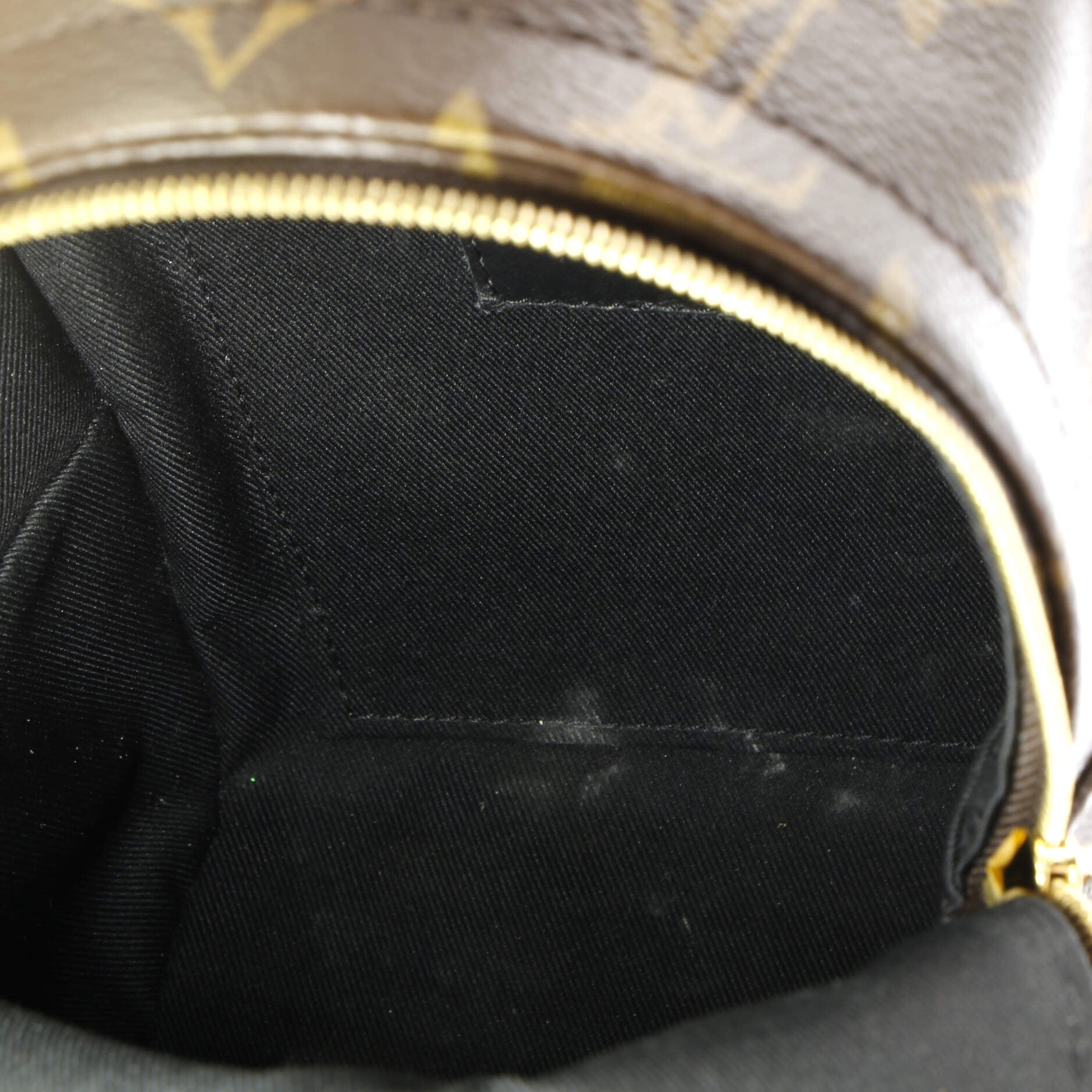 Louis Vuitton Palm Springs Backpack Monogram Canvas Mini