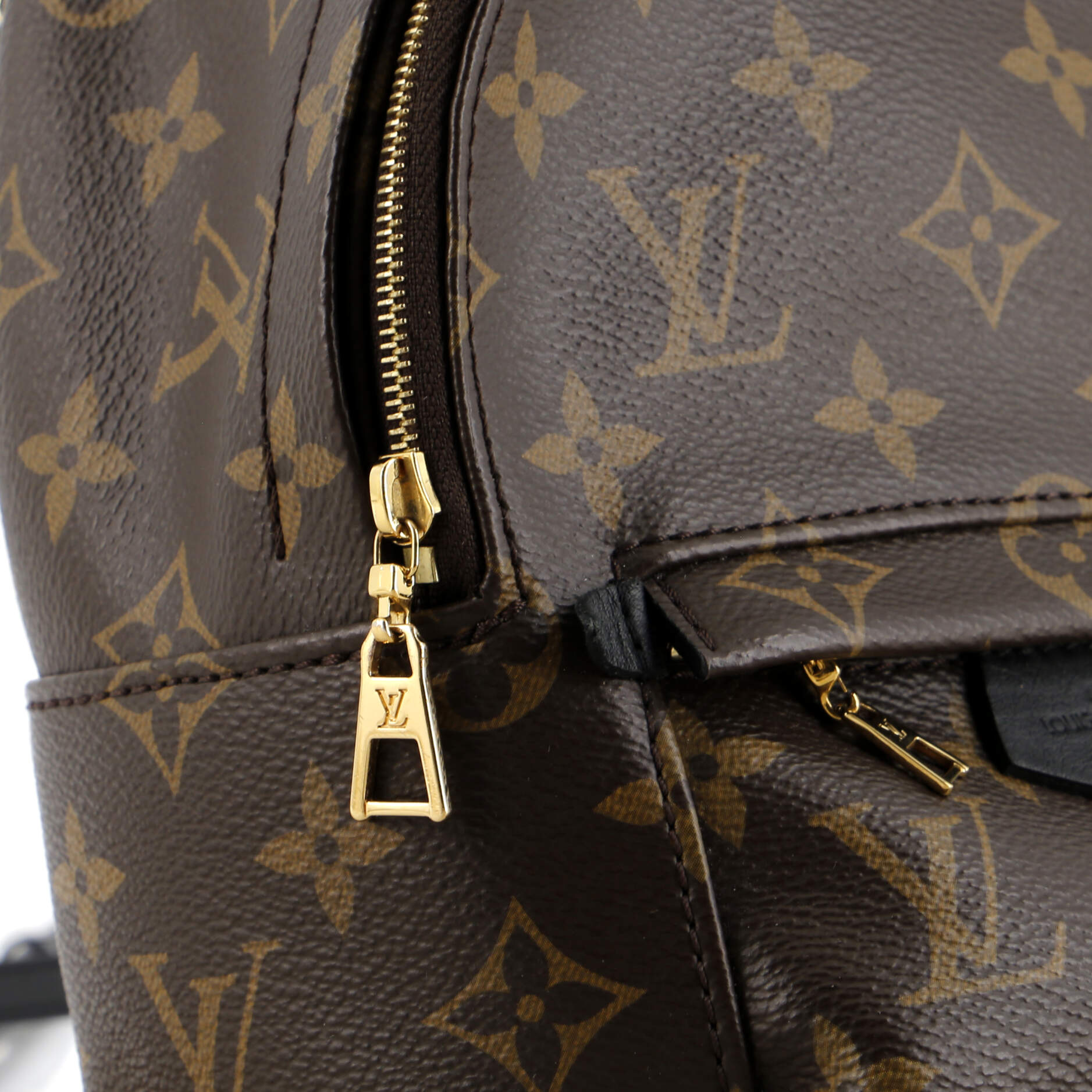 Louis Vuitton Palm Springs Backpack Monogram Canvas Mini