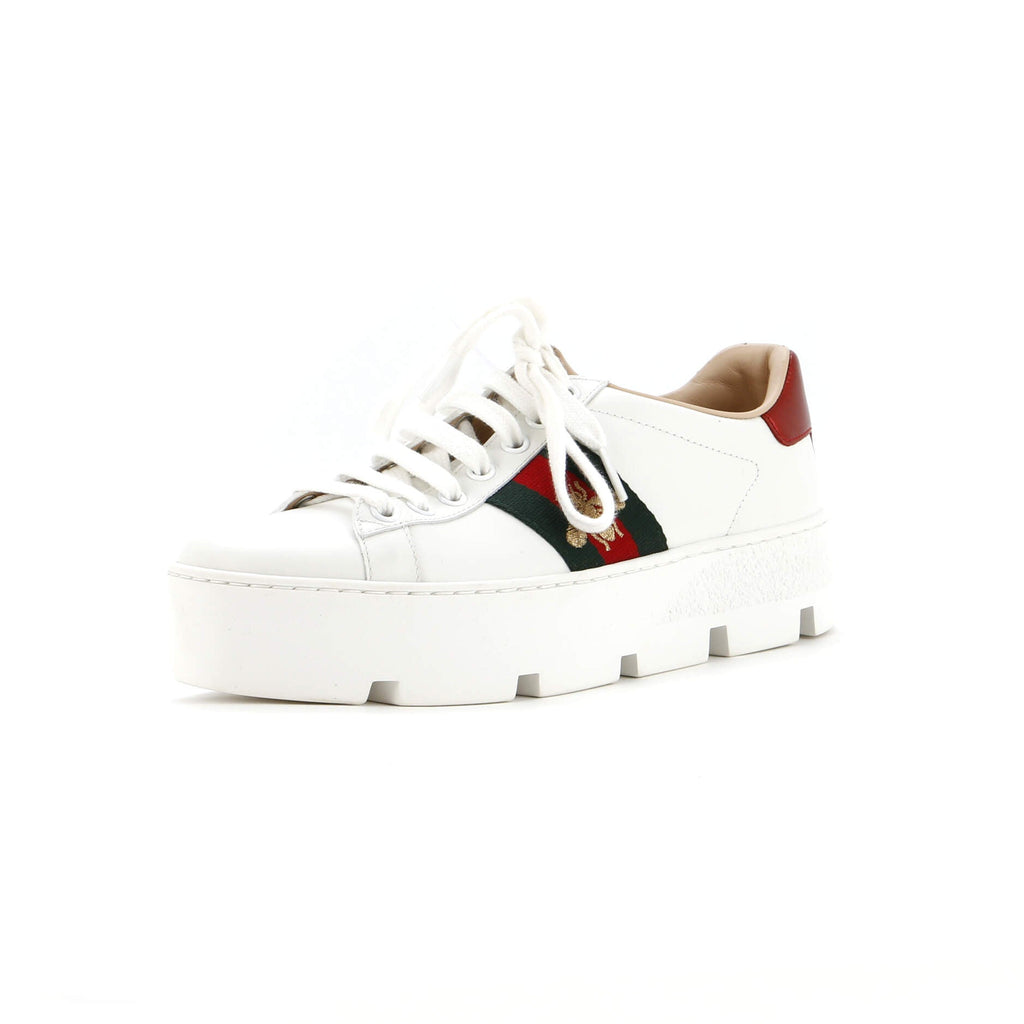 Women's Ace Web Platform Sneakers Leather