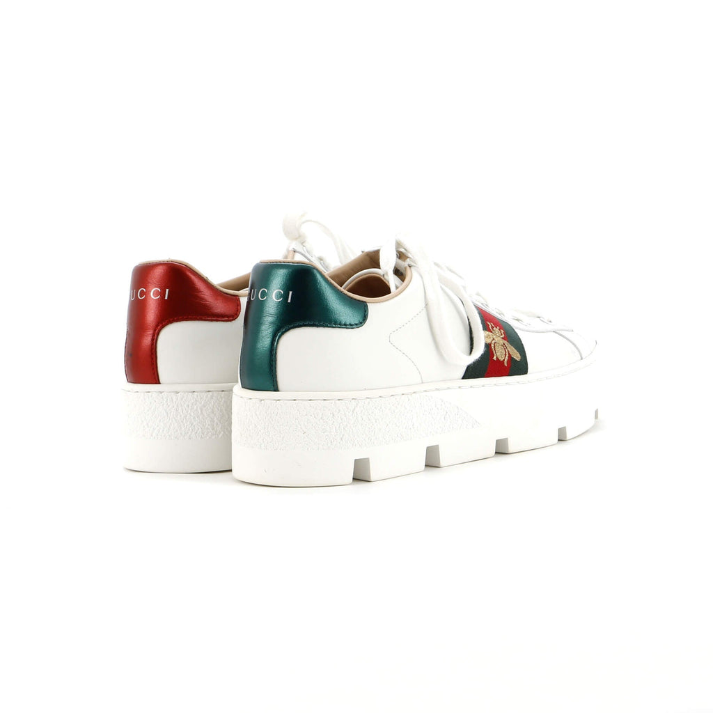 Women's Ace Web Platform Sneakers Leather