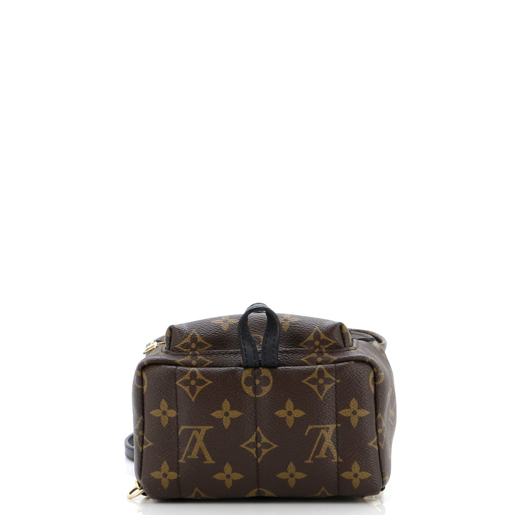 Palm Springs Backpack Monogram Canvas Mini