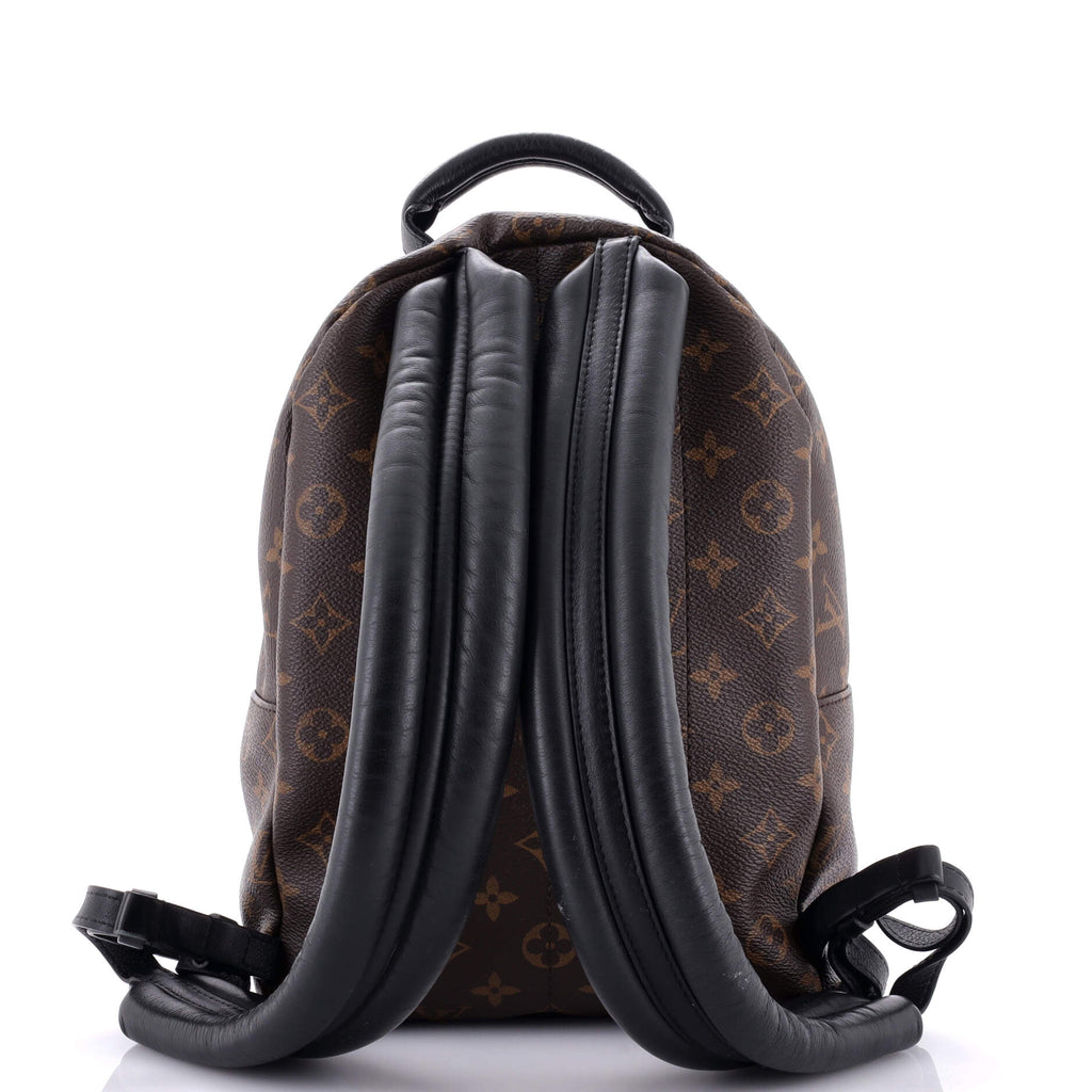 Louis Vuitton Palm Springs Backpack Monogram Canvas PM
