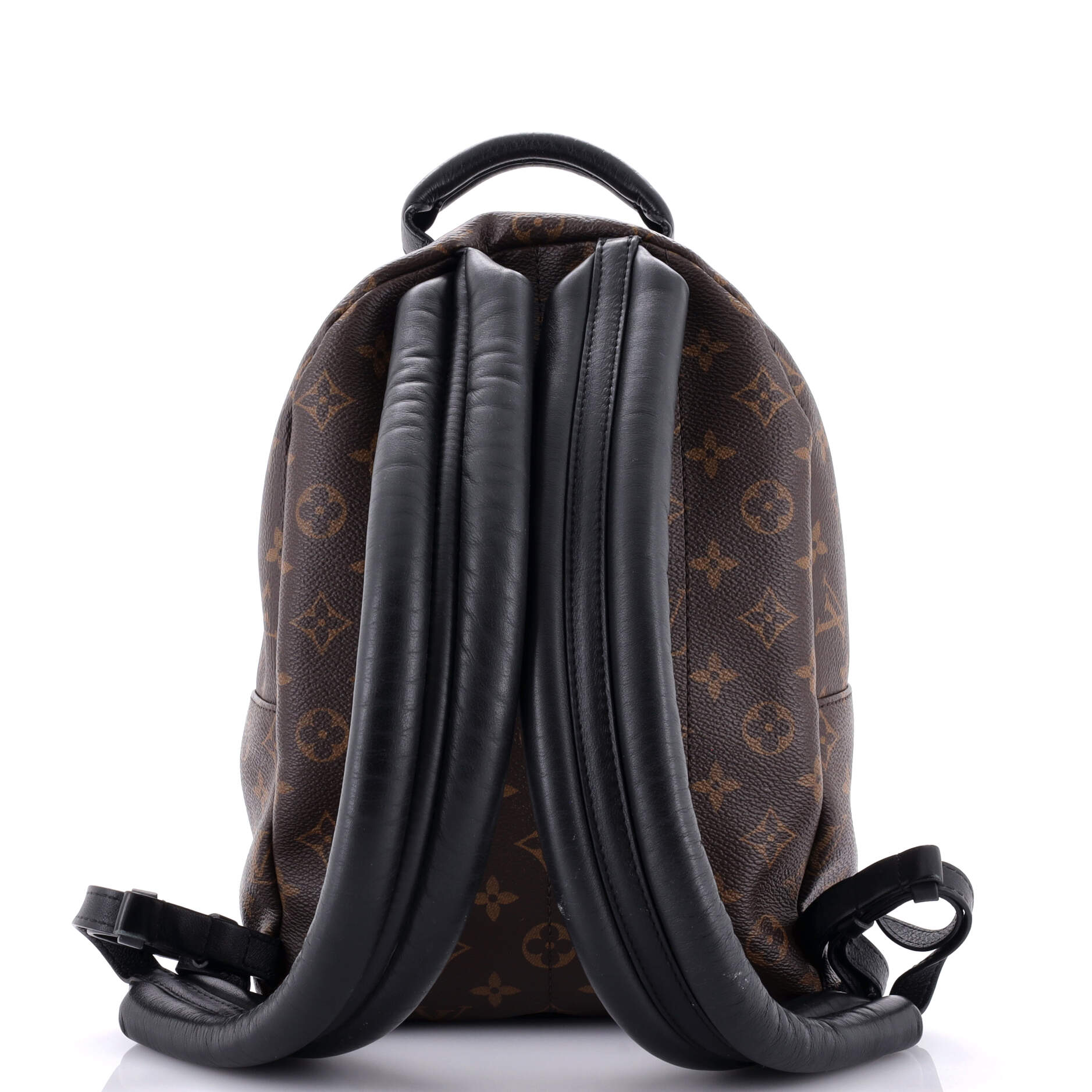 Louis Vuitton Palm Springs Backpack Monogram Canvas PM