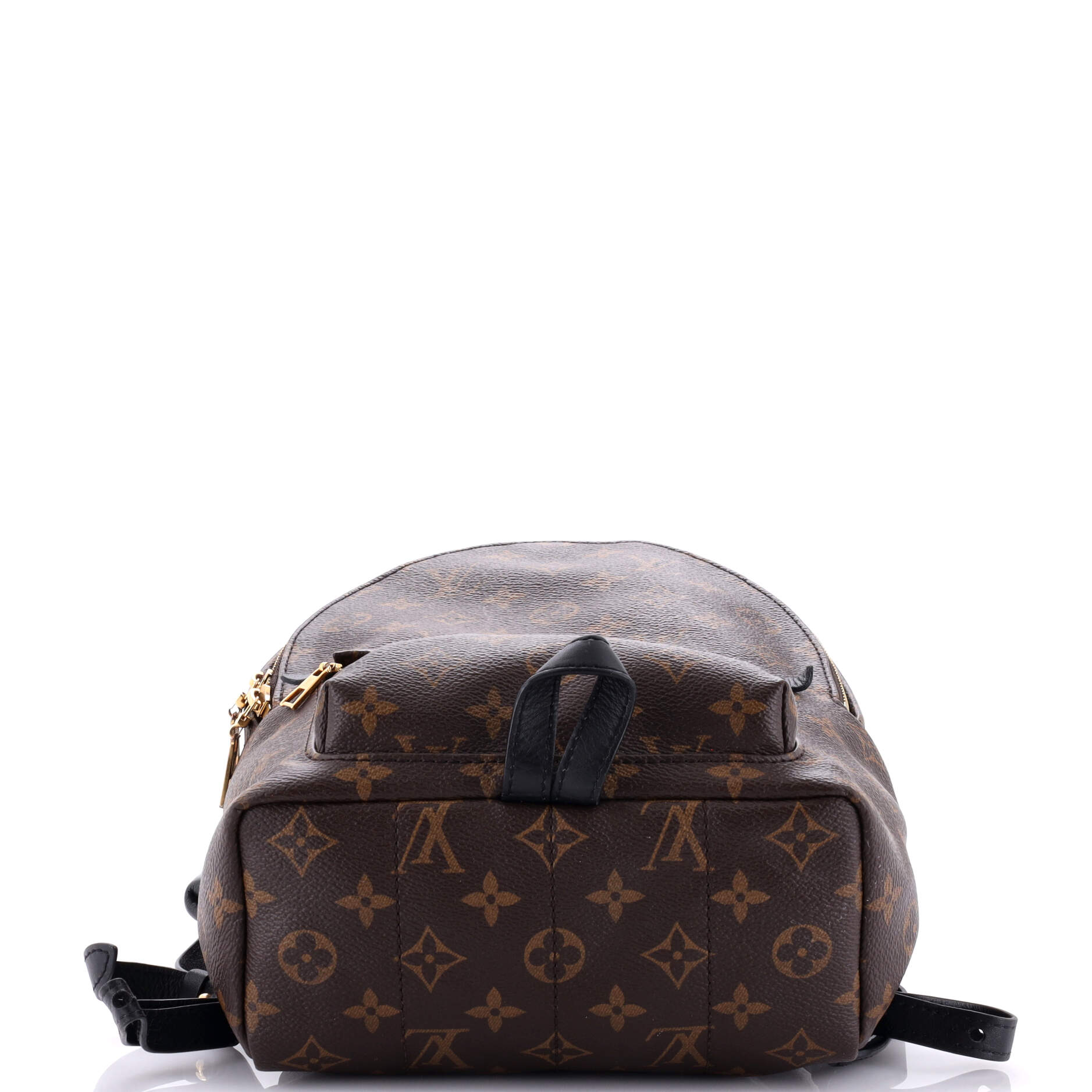 Louis Vuitton Palm Springs Backpack Monogram Canvas PM