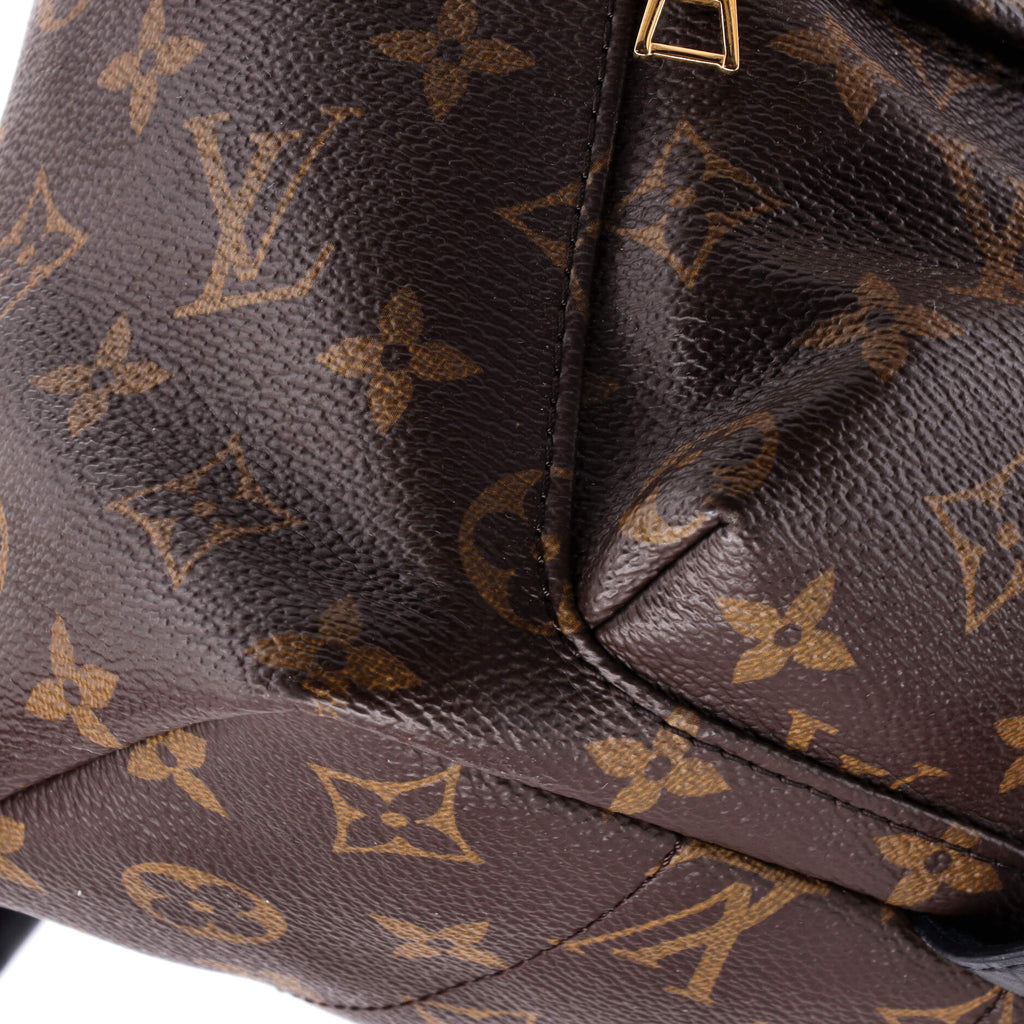 Louis Vuitton Palm Springs Backpack Monogram Canvas PM