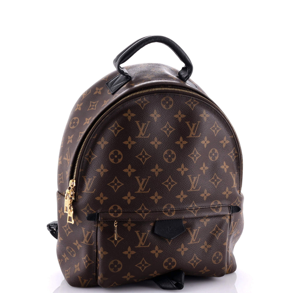 Louis Vuitton Palm Springs Backpack Monogram Canvas MM