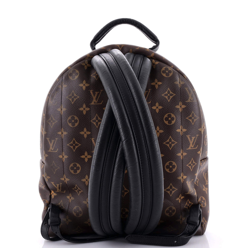 Louis Vuitton Palm Springs Backpack Monogram Canvas MM