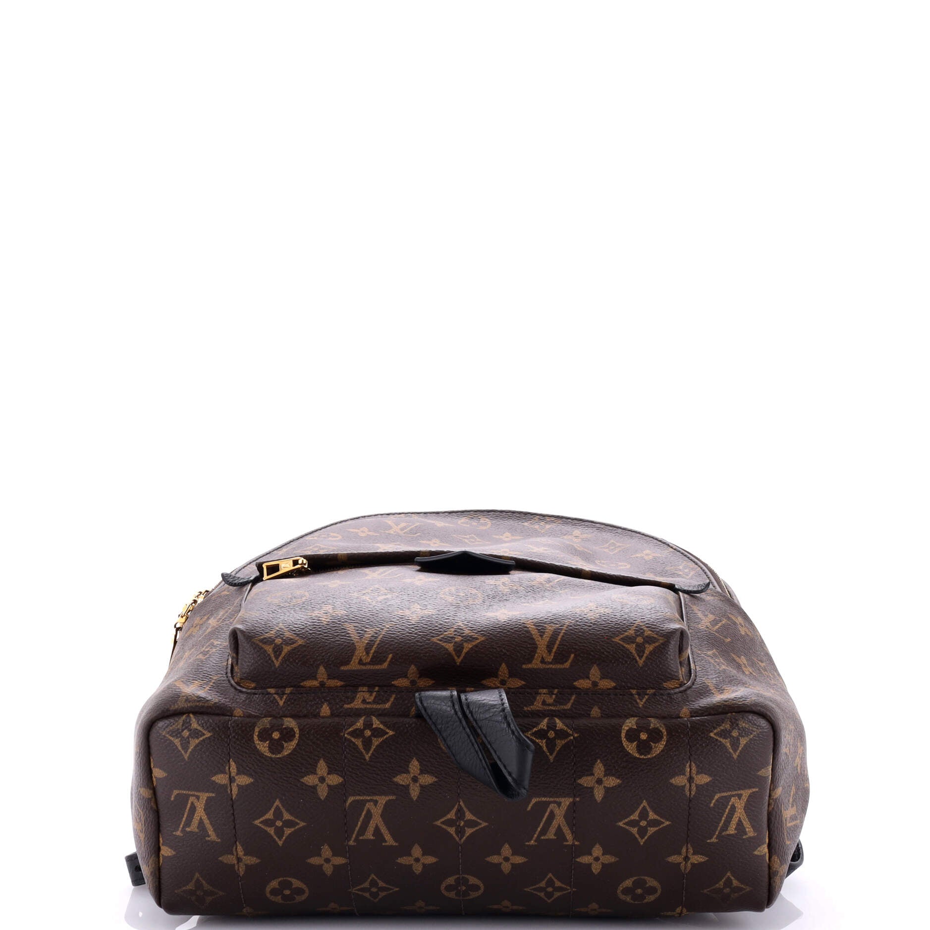 Louis Vuitton Palm Springs Backpack Monogram Canvas MM