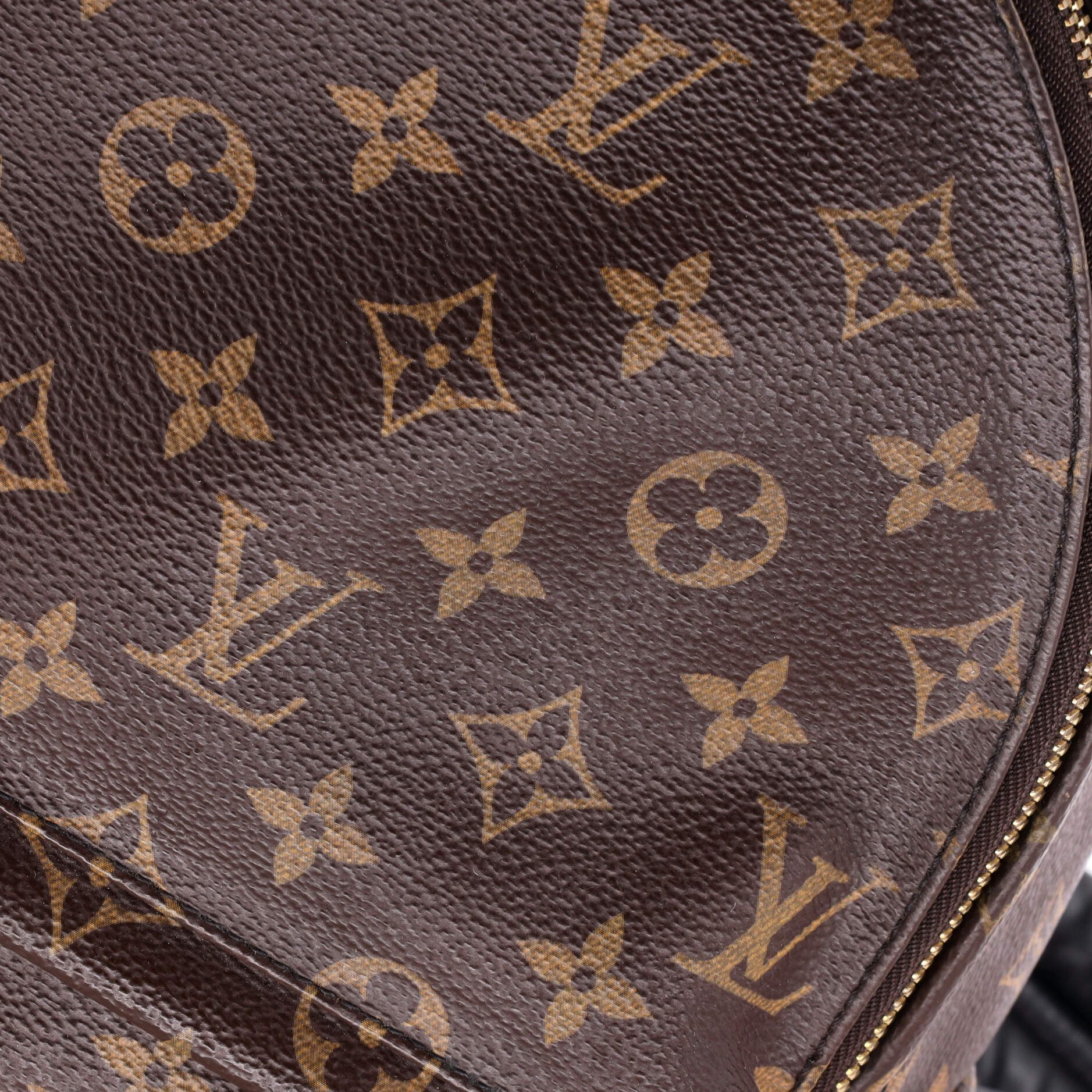 Louis Vuitton Palm Springs Backpack Monogram Canvas MM