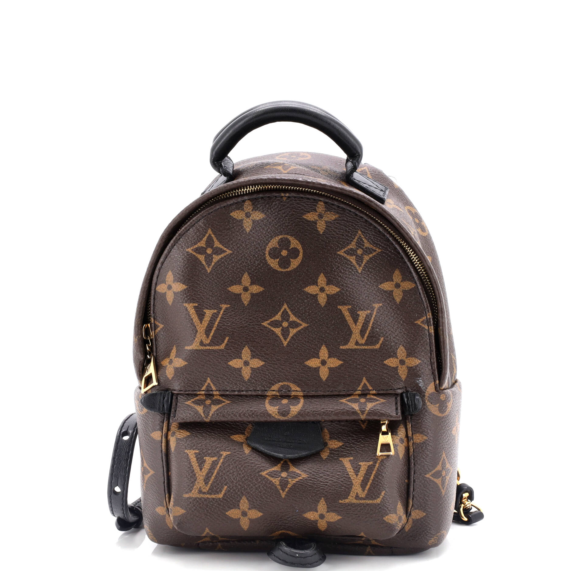 Louis Vuitton Palm Springs Backpack Monogram Canvas Mini