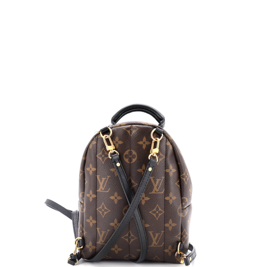Louis Vuitton Palm Springs Backpack Monogram Canvas Mini