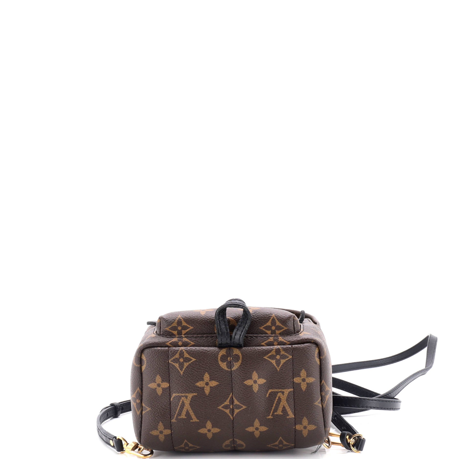 Louis Vuitton Palm Springs Backpack Monogram Canvas Mini