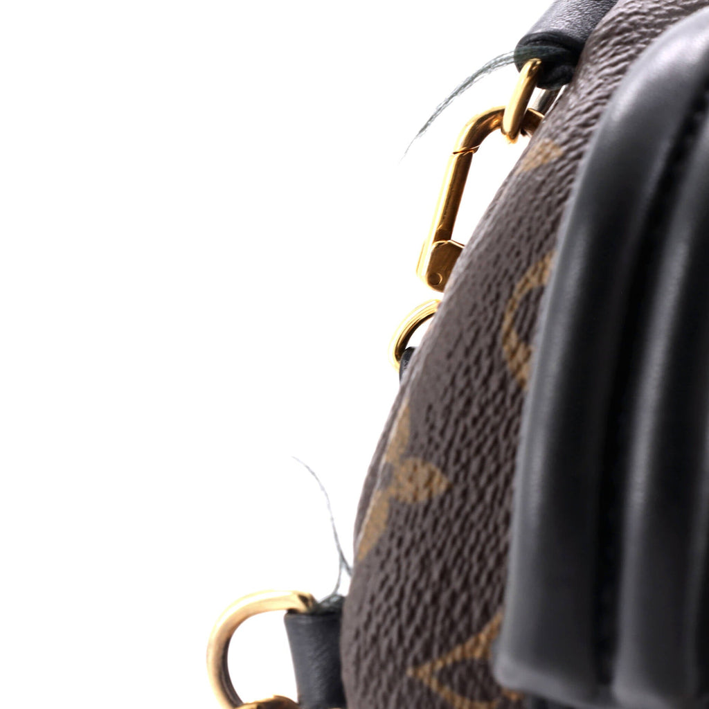 Louis Vuitton Palm Springs Backpack Monogram Canvas Mini